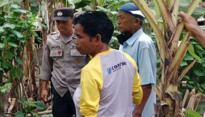 Bhabinkamtibmas Lombok Barat Dorong Swasembada Pangan Desa