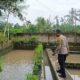 Ketahanan Pangan Dimulai dari Dusun Pesongoran, Lombok Barat