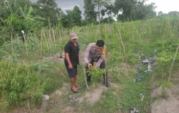 Kolaborasi Warga dan Polisi Dorong Pemanfaatan Pekarangan di Labuapi