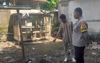 Kuripan Selatan Gerakkan Pekarangan Mandiri untuk Ketahanan Pangan