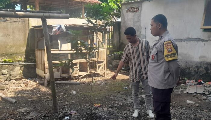 Kuripan Selatan Gerakkan Pekarangan Mandiri untuk Ketahanan Pangan