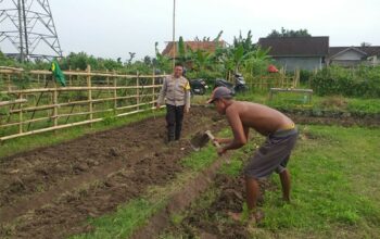 Lahan Pekarangan di Jagaraga Jadi Solusi Ketahanan Pangan