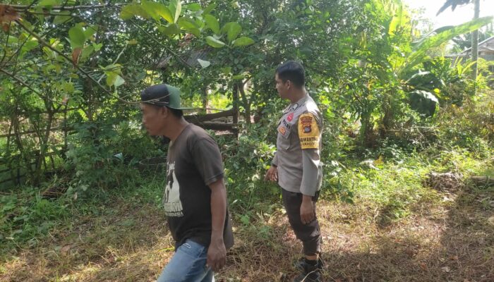 Bhabinkamtibmas Kuranji Dalang Dorong Kemandirian Pangan Warga Lombok Barat