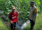 Polri dan Petani Montong Are Sinergi Wujudkan Ketahanan Pangan