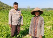 Peran Polsek Lembar dalam Ketahanan Pangan Desa