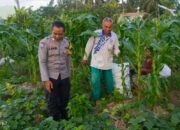 Petani Kuripan Utara Terapkan Inovasi Pertanian Didukung Polri