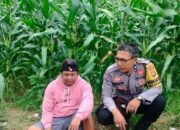 Kolaborasi Polri dan Warga Eyat Mayang: Pilar Ketahanan Pangan Lokal
