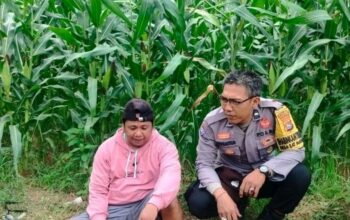 Kolaborasi Polri dan Warga Eyat Mayang: Pilar Ketahanan Pangan Lokal