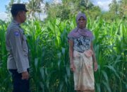 Bhabinkamtibmas Gerung Dukung Ketahanan Pangan Lewat Sambang Petani