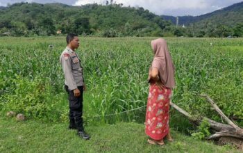 Polsek Lembar Dukung Ketahanan Pangan Lewat Sambang Petani di Sekotong Timur