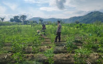 Sinergi Polisi dan Petani Dorong Ketahanan Pangan di Jembatan Kembar Timur