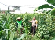 Dukung Ketahanan Pangan, Polisi Ajak Petani Manfaatkan Lahan Kosong
