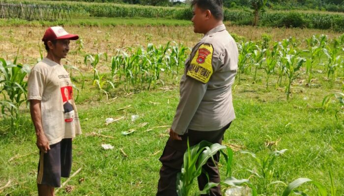 Polres Lombok Barat Dorong Ketahanan Pangan Desa Jembatan Gantung