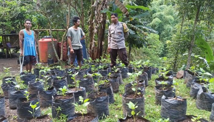 Ketahanan Pangan Dimulai dari Pekarangan: Polsek Batulayar Dampingi Warga