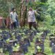Sinergi Polri dan Warga Batulayar untuk Pekarangan Bergizi