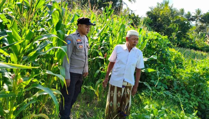 Polri Dukung Ketahanan Pangan di Mareje Timur Lewat Pengecekan Lahan