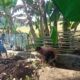 Bhabinkamtibmas Kelurahan Rite Gotong Royong Bersama Warga Bersihkan Parit Cegah DBD
