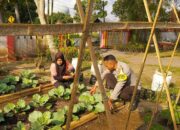 Sinergi Polri dan KWT Pemangket Wujudkan Ketahanan Pangan di Kuripan Utara