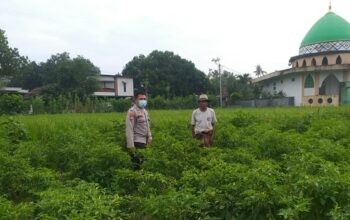 Polsek Kuripan Perkuat Ketahanan Pangan Warga lewat Pendampingan Aktif