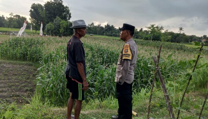 Polri Dorong Pemanfaatan Lahan Pekarangan di Kuripan Utara
