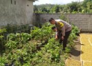 Bhabinkamtibmas Sekotong Tengah Dorong Warga Manfaatkan Pekarangan untuk Ketahanan Pangan