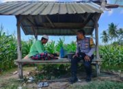 Jalin Kedekatan, Bhabinkamtibmas Desa Eyat Mayang Sambangi Petani Jagung Dukung Ketahanan Pangan