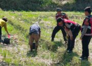 Polres Lombok Barat Dukung Ketahanan Pangan Lewat Patroli Humanis di Desa Kuripan