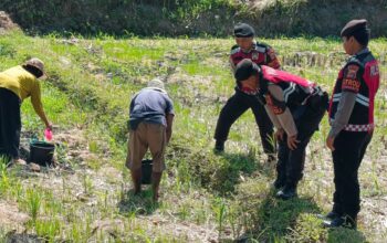 Polres Lombok Barat Dukung Ketahanan Pangan Lewat Patroli Humanis di Desa Kuripan