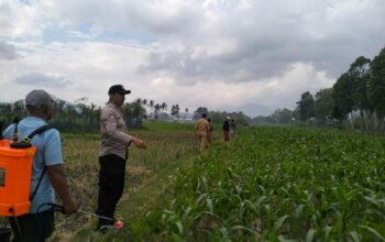 Polsek Kediri Bersama Bhabinkamtibmas dan PPL Pertanian Tingkatkan Ketahanan Pang