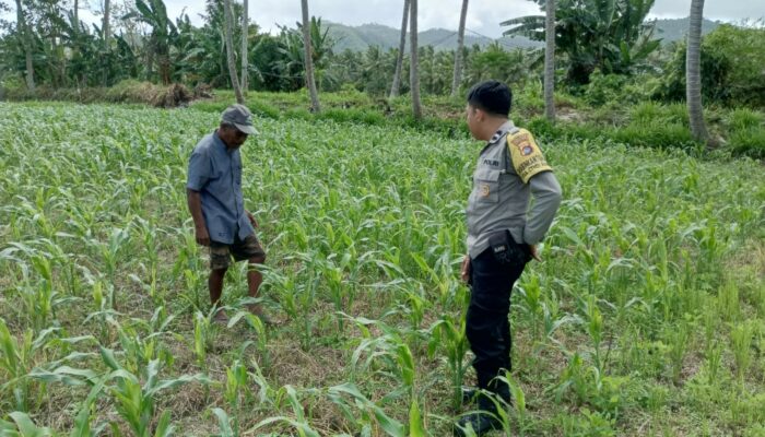 Bhabinkamtibmas Cendi Manik Dorong Ketahanan Pangan Lewat Pendekatan Humanis