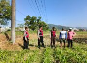 Polri Hadir Bantu Petani Jagung Wujudkan Swasembada di Lombok Barat