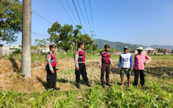 Polri Hadir Bantu Petani Jagung Wujudkan Swasembada di Lombok Barat