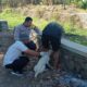 Bhabinkamtibmas Polres Bima Kota Dampingi Tim Vaksinasi Anjing Rabies di Kelurahan Kendo