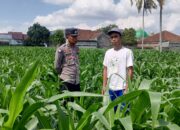 Bhabinkamtibmas Kuripan Ajak Warga Dusun Due Pelet Wujudkan Ketahanan Pangan
