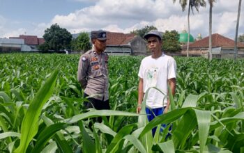 Bhabinkamtibmas Kuripan Ajak Warga Dusun Due Pelet Wujudkan Ketahanan Pangan