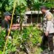 Bripka Ramli Dampingi Warga Kelola Lahan Pekarangan Pangan Bergizi di Desa Mantun