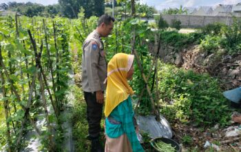 Ketahanan Pangan Diperkuat, Bhabinkamtibmas Desa Labuapi Ajak Warga Produktif