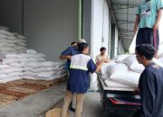 Bulog Mataram Serap 3,4 Ton Jagung Petani Gerung dengan Pengawalan Polisi