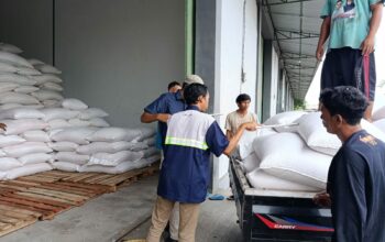 Bulog Mataram Serap 3,4 Ton Jagung Petani Gerung dengan Pengawalan Polisi