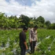 Bhabinkamtibmas Lombok Barat Ajak Warga Optimalkan Lahan untuk Ketahanan Pangan Desa