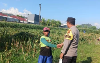Peran Nyata Bhabinkamtibmas dalam Meningkatkan Kesejahteraan Petani