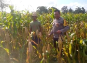 Kapolsek Kuripan: Ketahanan Pangan Harus Dimulai dari Desa