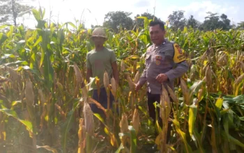 Kapolsek Kuripan: Ketahanan Pangan Harus Dimulai dari Desa
