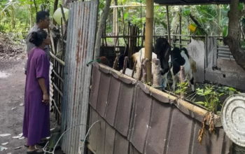 Bhabinkamtibmas Senggigi Ajak Warga Kelola Lahan Kosong Jadi Sumber Pangan