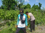 Bhabinkamtibmas Ajak Warga Optimalkan Pekarangan untuk Ketahanan Pangan