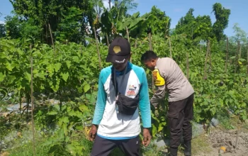 Bhabinkamtibmas Ajak Warga Optimalkan Pekarangan untuk Ketahanan Pangan