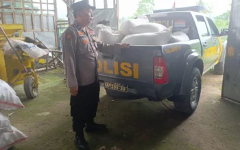 Polisi Turun ke Ladang, Pastikan Jagung Petani Lembar Terserap BULOG
