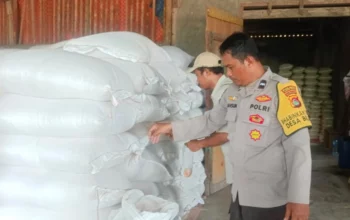 Ketahanan Pangan NTB: Polisi Kawal Serapan Jagung Petani