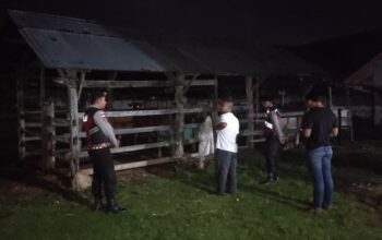 Apresiasi Warga Mengalir, Polisi Hadir di Tengah Sunyi Dini Hari Amankan Hewan Ternak