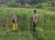 BHABINKAMTIBMAS DESA MANEMENG LAKUKAN PENDAMPINGAN PENGELOLAAN PEKARANGAN PANGAN BERGIZI